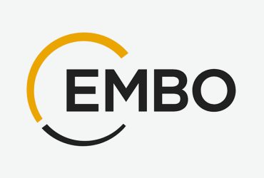 embo-workshop