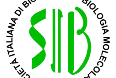 Logo Sib